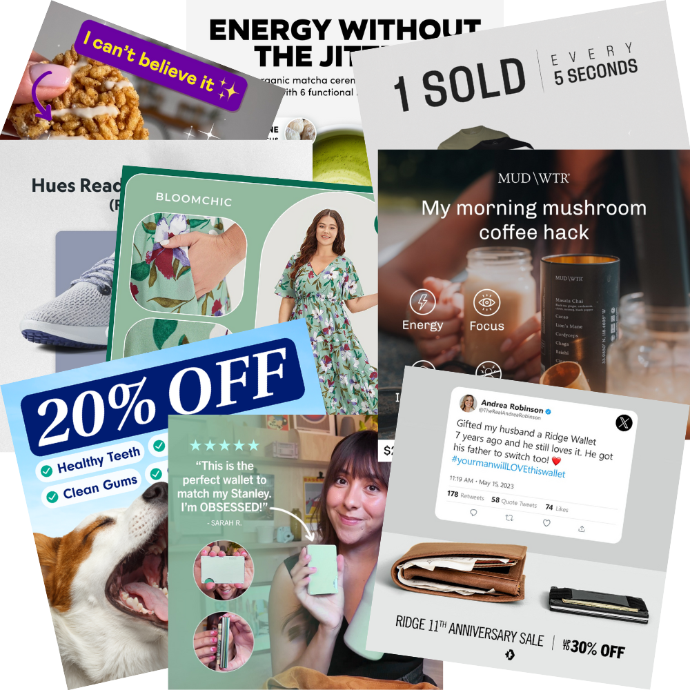 Ecom Growth Pack | 15 Ads + Store Template